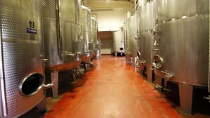 A row of stainless steel fermentation tanks in a facility. - Agriturismo Borgo delle Vigne (Zola Predosa)