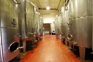 Una hilera de tanques de fermentación de acero inoxidable en una instalación.