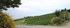 Vue aérienne