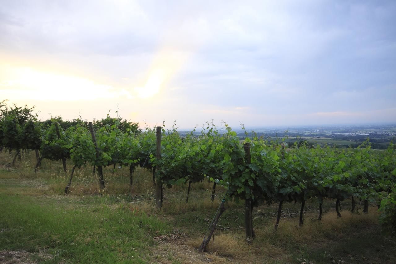 Foto - Agriturismo Gaggioli Borgo Delle Vigne