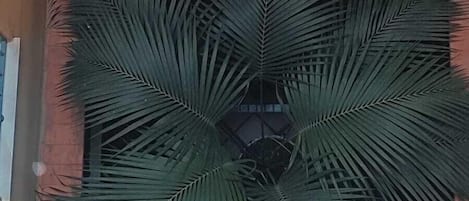 Fachada de edificio con un gran ventanal y una decoración de hojas de palma.