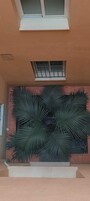 A building facade with a large window and a decorative palm frond installation.