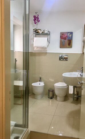 Double Room | Bathroom | Shower, rainfall showerhead, free toiletries, hair dryer - Sangiuliano 114 (Catania)