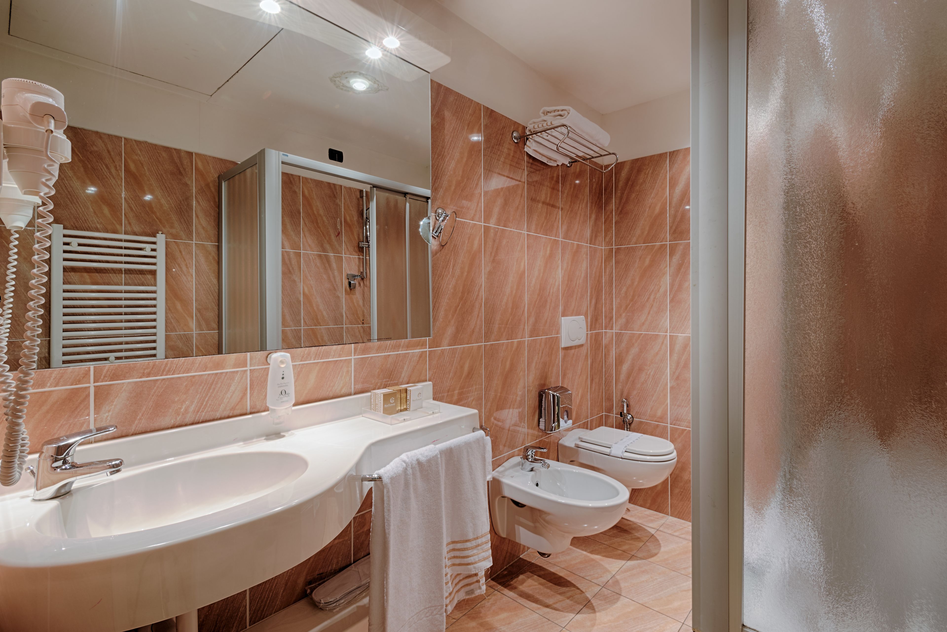 rainfall showerhead, hair dryer, bidet, towels