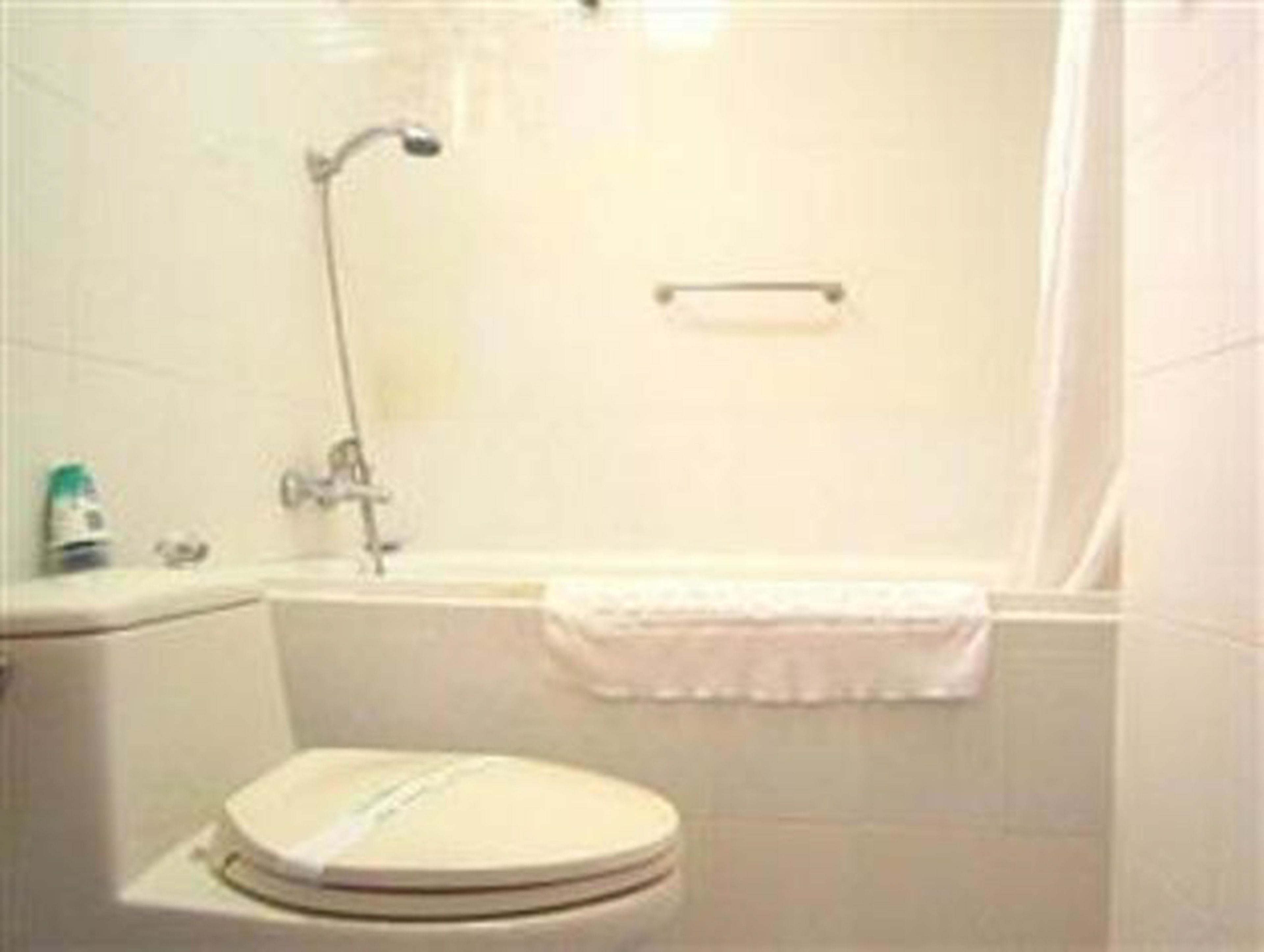 room (vip room) | bathroom | shower, free toiletries, hair dryer, slippers
