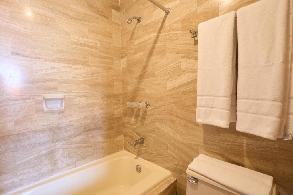 Een badkamer met een bad, toilet en douche, inclusief een handdoekhouder.
