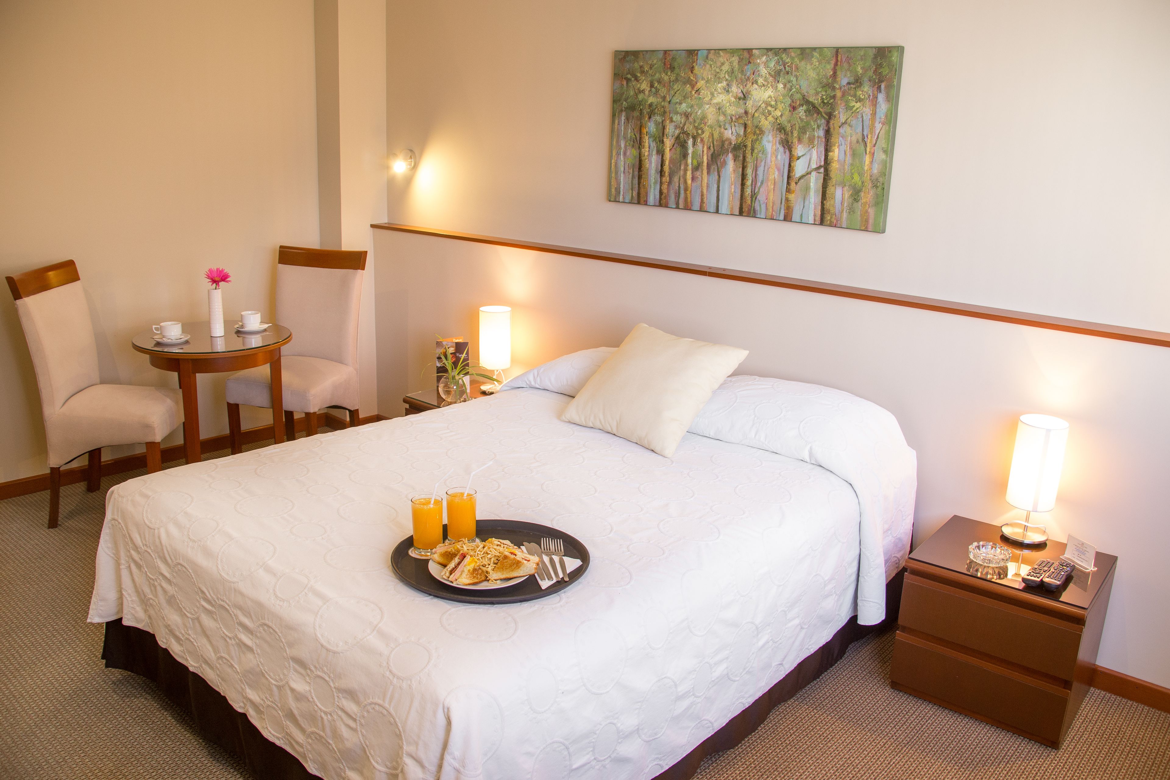 junior suite | down duvets, minibar, in-room safe, individually furnished