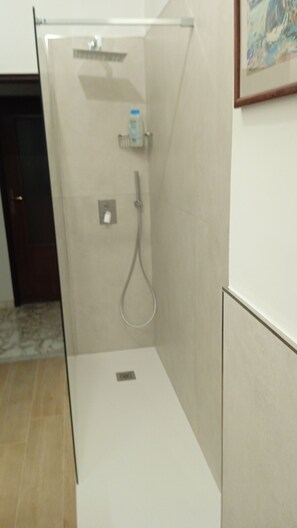 Tina con regadera, regadera tipo lluvia, secadora de cabello, bidet 