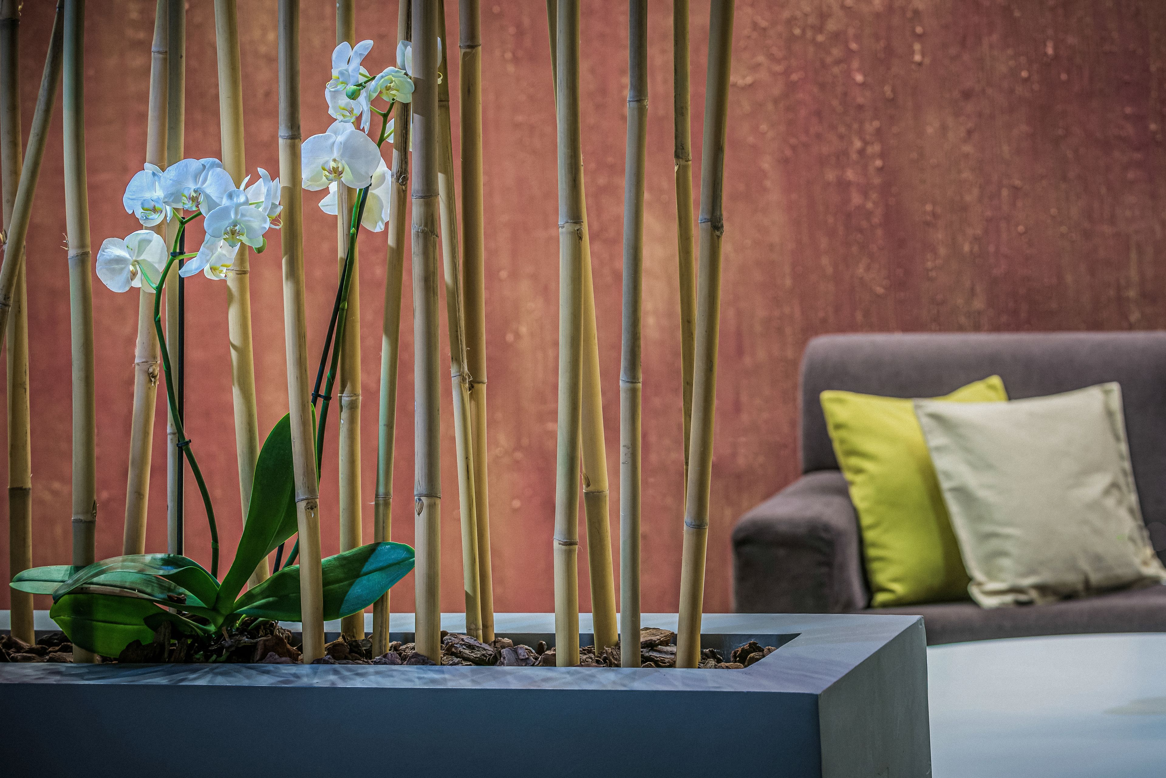 Photo - Blue Bay Resort Hotel