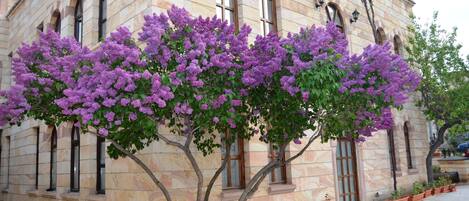 Fachada da propriedade