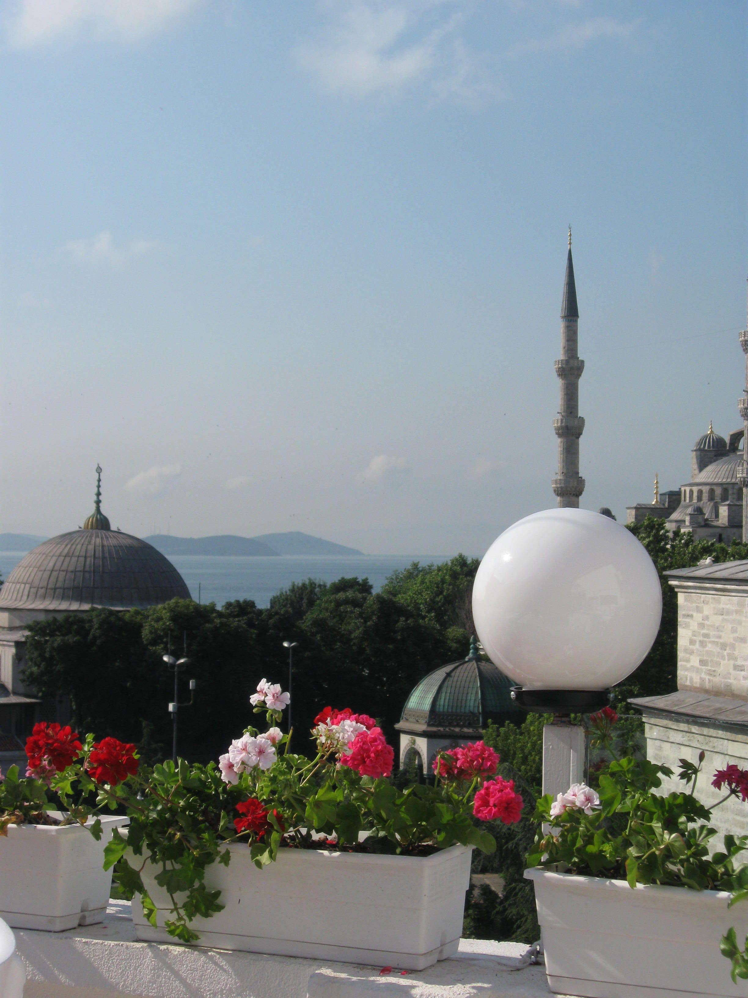 Foto - Sultanahmet Newport Hotel