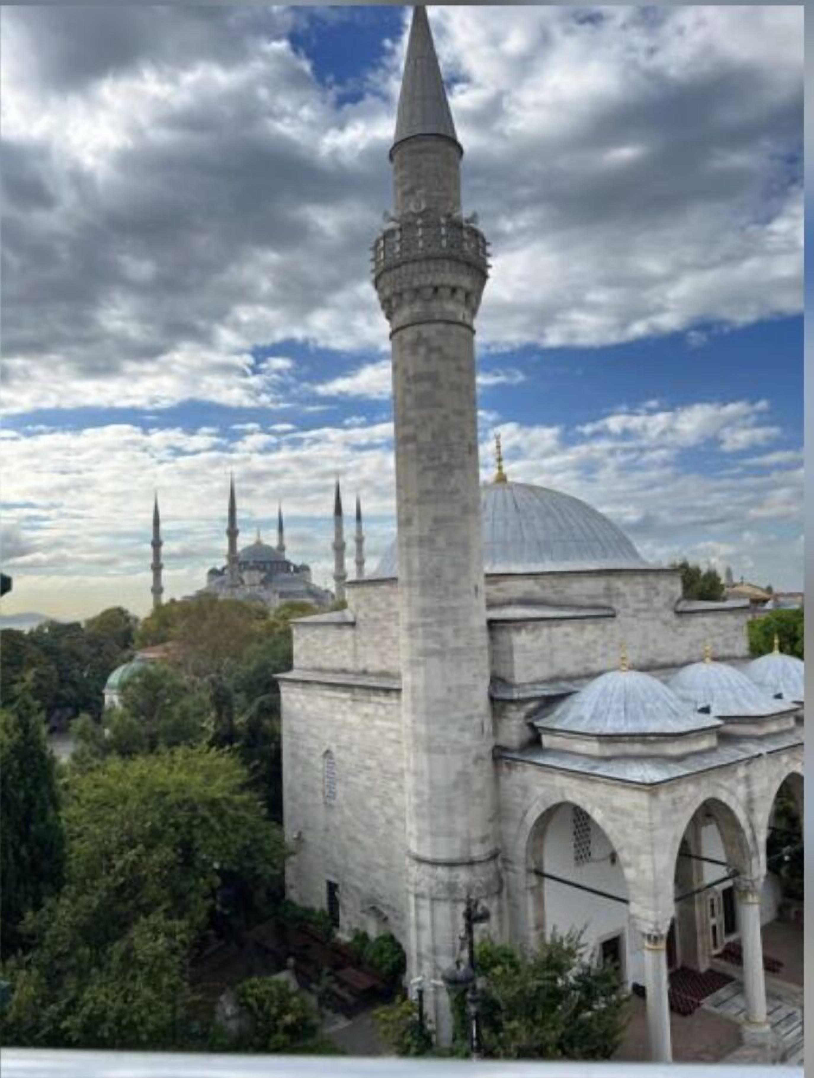 Foto - Sultanahmet Newport Hotel