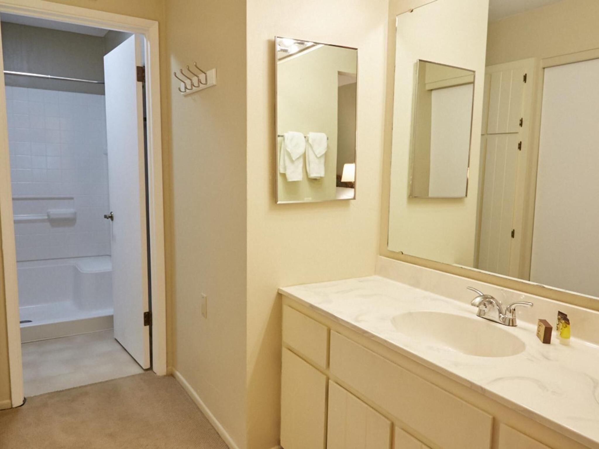 Shower, free toiletries, hair dryer, bidet
