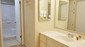 Shower, free toiletries, hair dryer, bidet