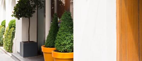 Um edifício moderno com fachada branca, grandes vasos de plantas e uma porta de madeira.