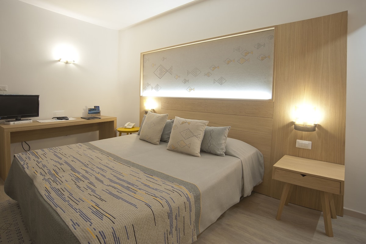Standard Double Room | Peti besi dalam bilik, meja, ruang kerja komputer riba, kalis bunyi