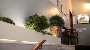 A staircase with a wooden handrail, a wall-mounted plant, and a sign reading "La Collegiata". - La Collegiata Guest House (Catania)
