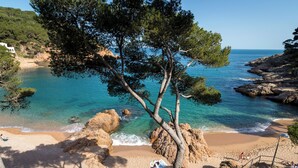 Een kuststrand met helder turquoise water, rotsachtige rotsformaties en een pad met bomen.
