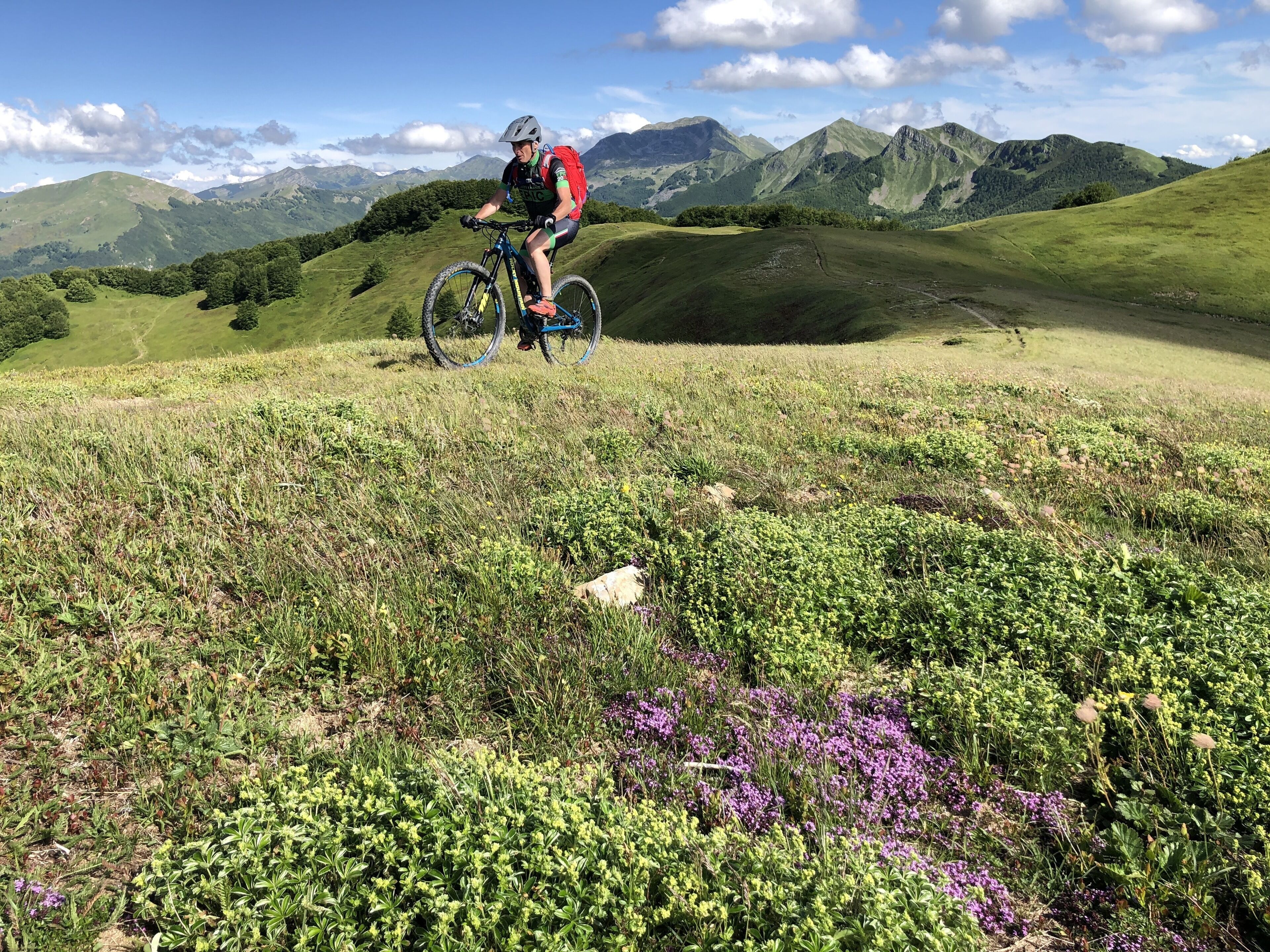 Un vététiste sur un sentier, avec des collines verdoyantes et des montagnes en arrière-plan.