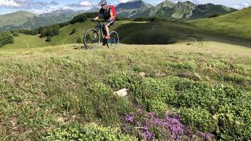 Un vététiste sur un sentier, avec des collines verdoyantes et des montagnes en arrière-plan.
