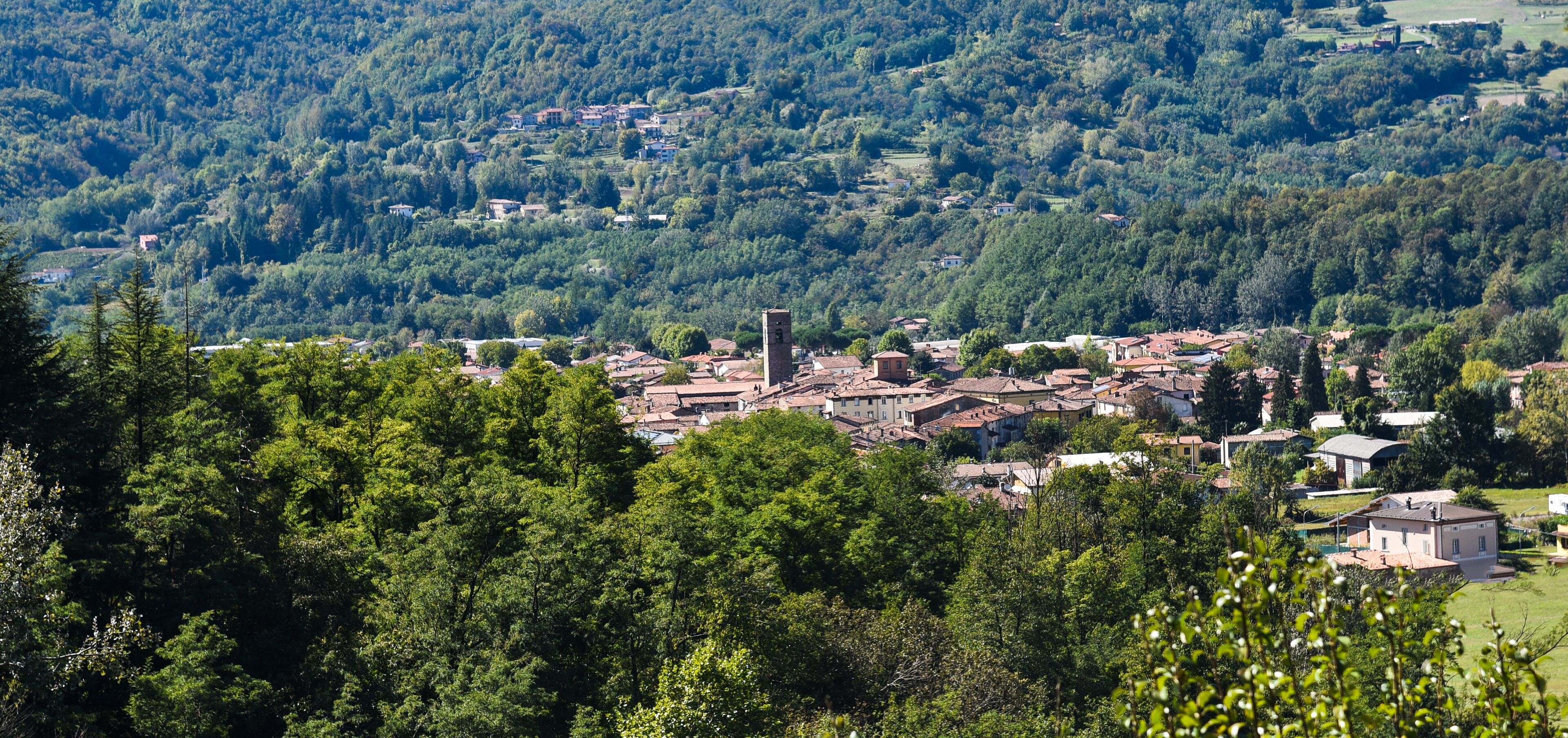 A town nestled in a valley surrounded by dense forest.