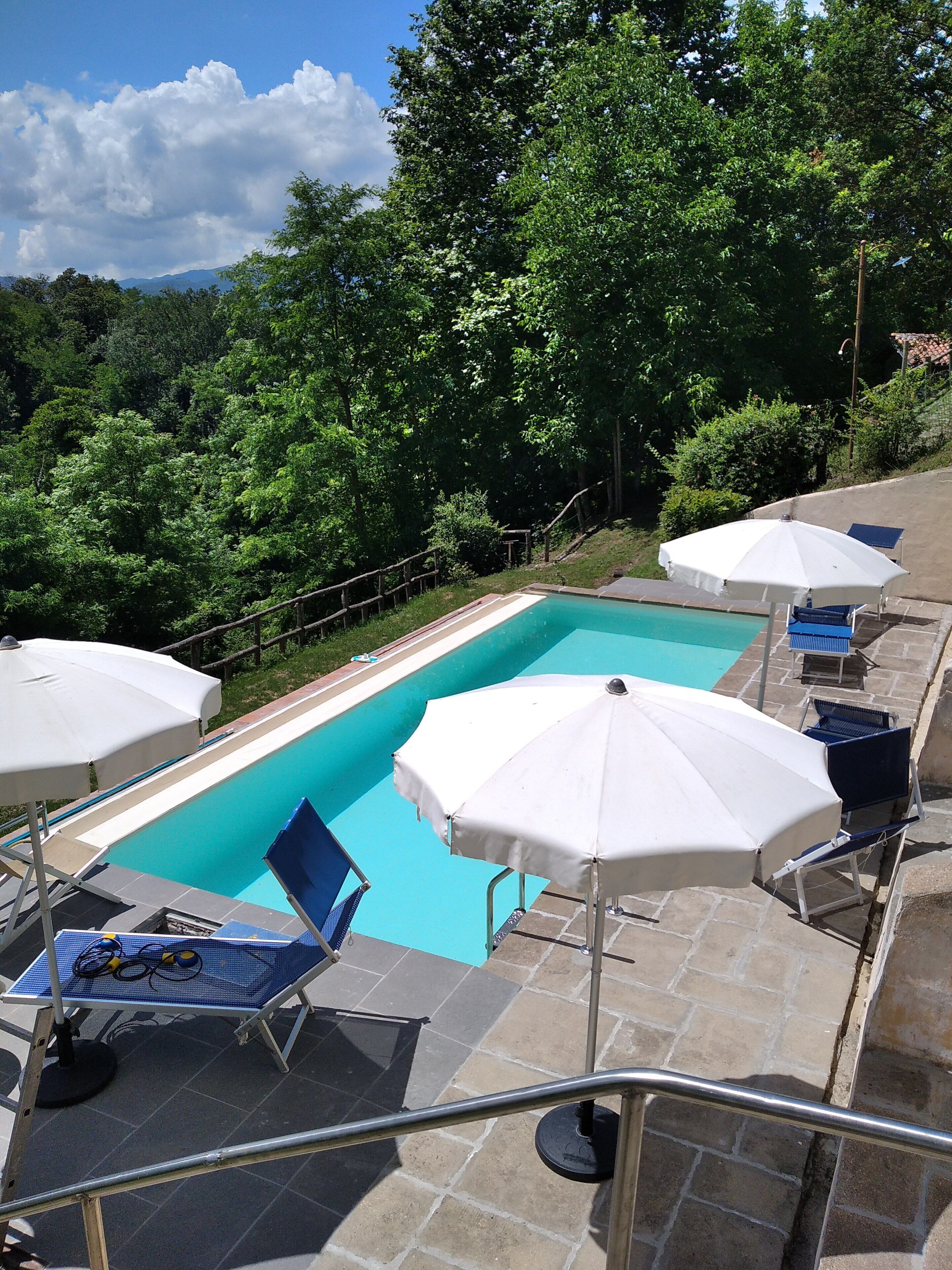 A rectangular swimming pool with a clear blue water surface, surrounded by stone tiles. There are several white umbrellas and blue lounge chairs arranged around the pool.