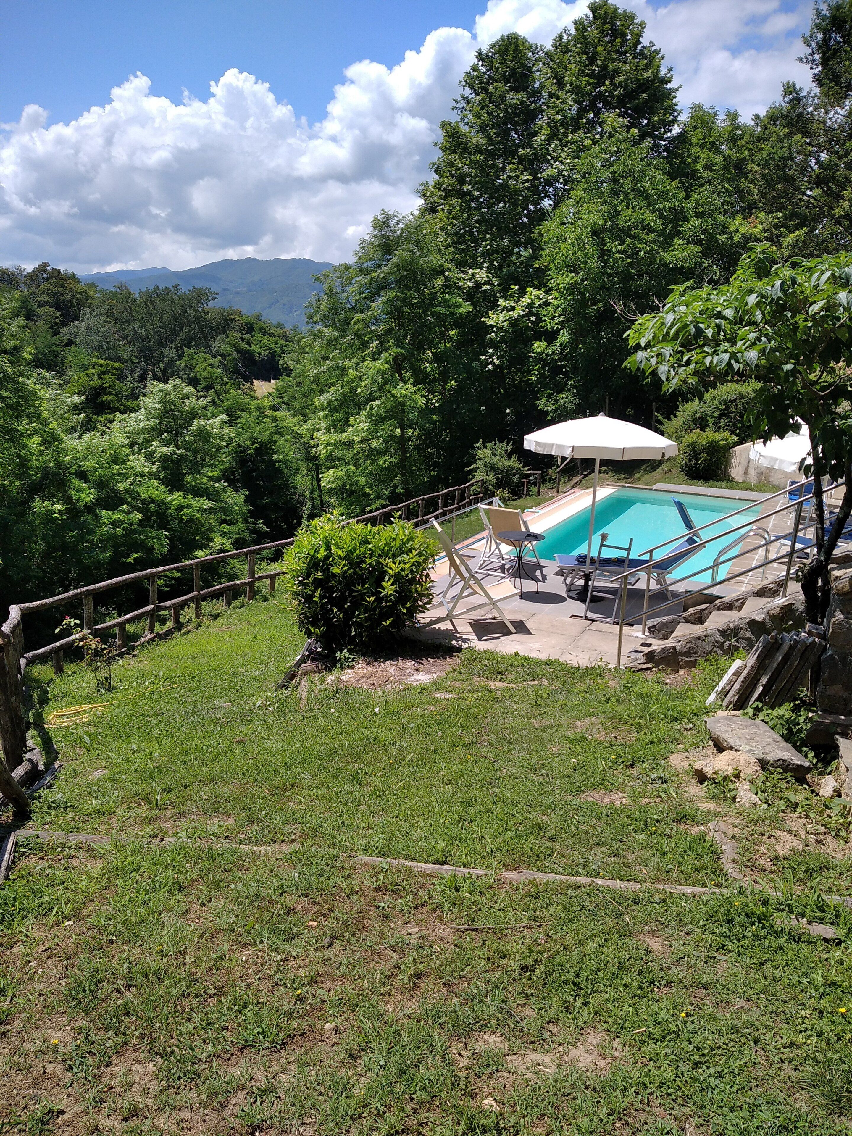Un jardin à l’arrière de la maison, avec une piscine, entouré d’une végétation luxuriante et délimité par une clôture en bois.