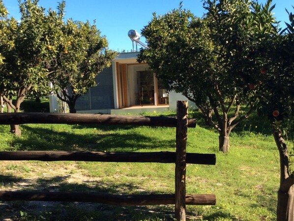 Luxury Villa, Kitchenette | Property grounds