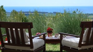 Two wooden chairs with cushions, a table with a vase of flowers, and a view of the sea and fields.