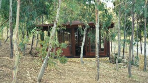 A rustic wooden cabin surrounded by trees in a forested area.