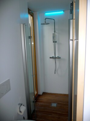 Luxury Villa, Kitchenette | Bathroom shower