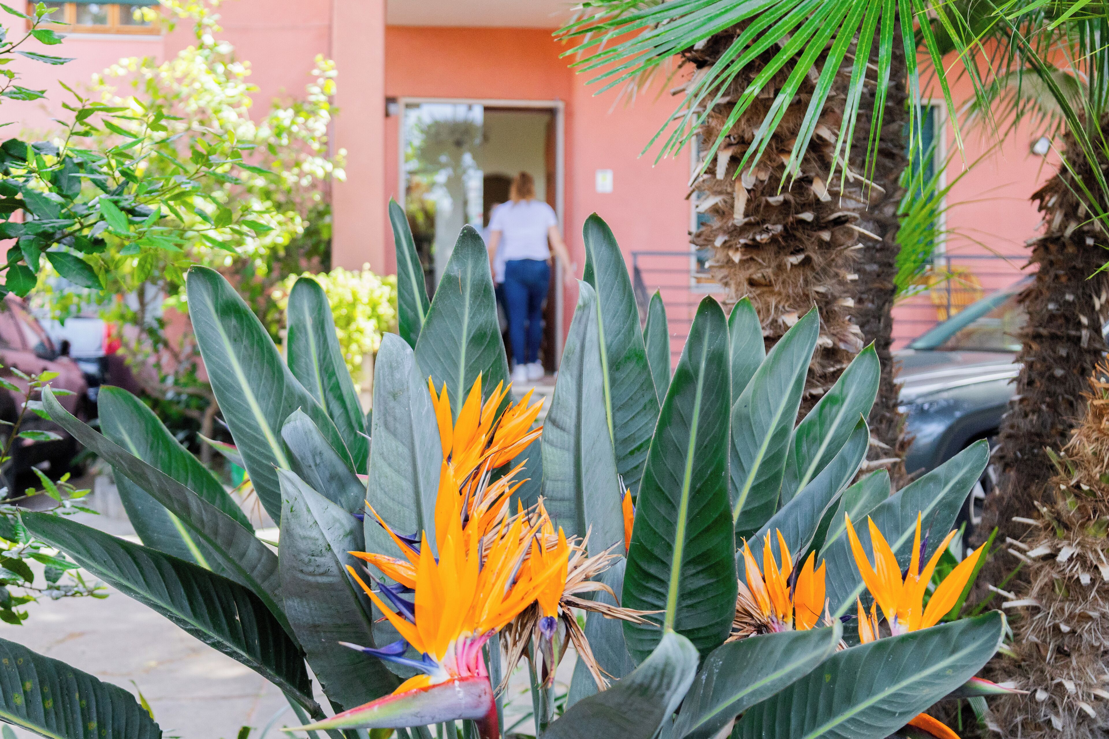 Foto - Villa Rosa Sorrento