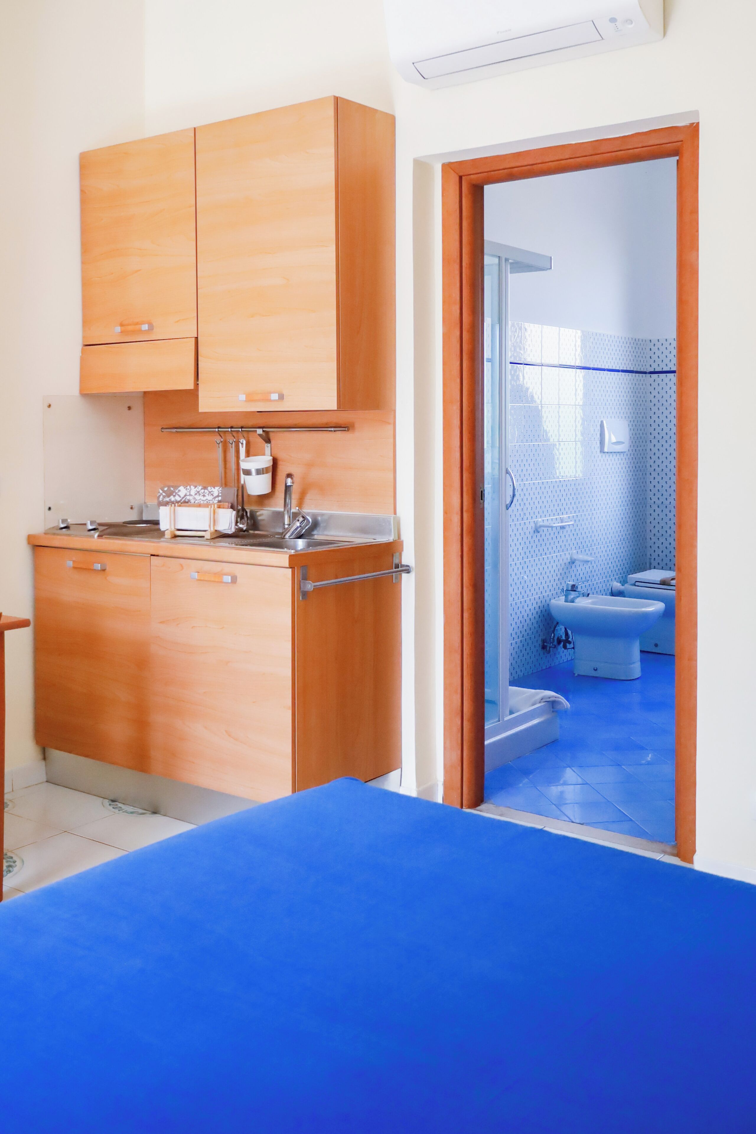 A compact room with a kitchenette, a shower area, and a bathroom.