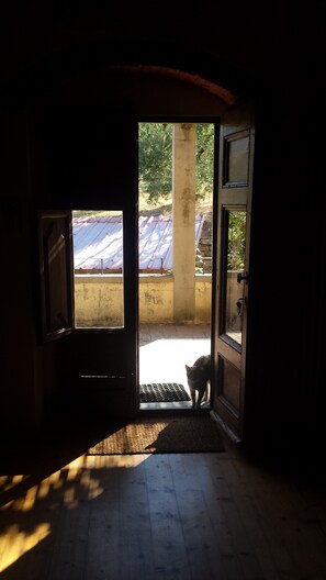 Detall de l'interior