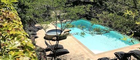 Outdoor pool, sun loungers