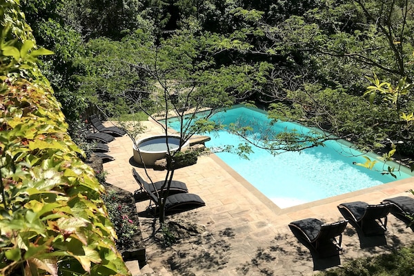 Outdoor pool, sun loungers