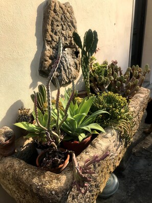 Jardí