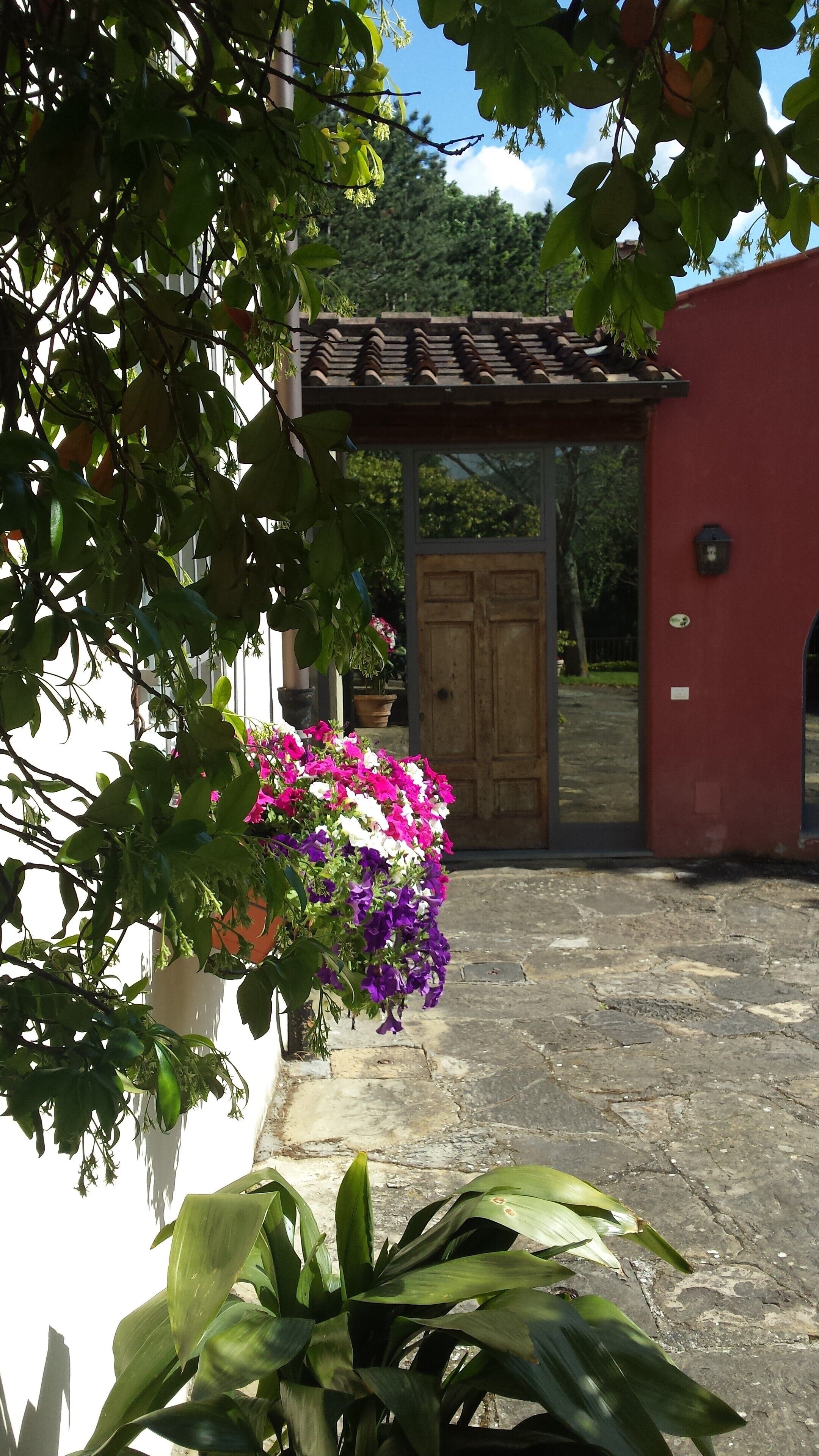 Apartment für 3 Personen | Blick auf den Garten