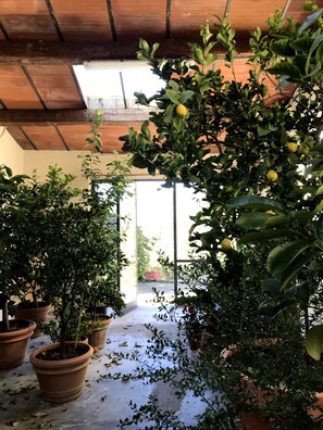 외부 세부 사진