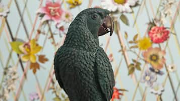 A parrot with a dark green plumage and a brown beak, standing against a backdrop of various flowers.