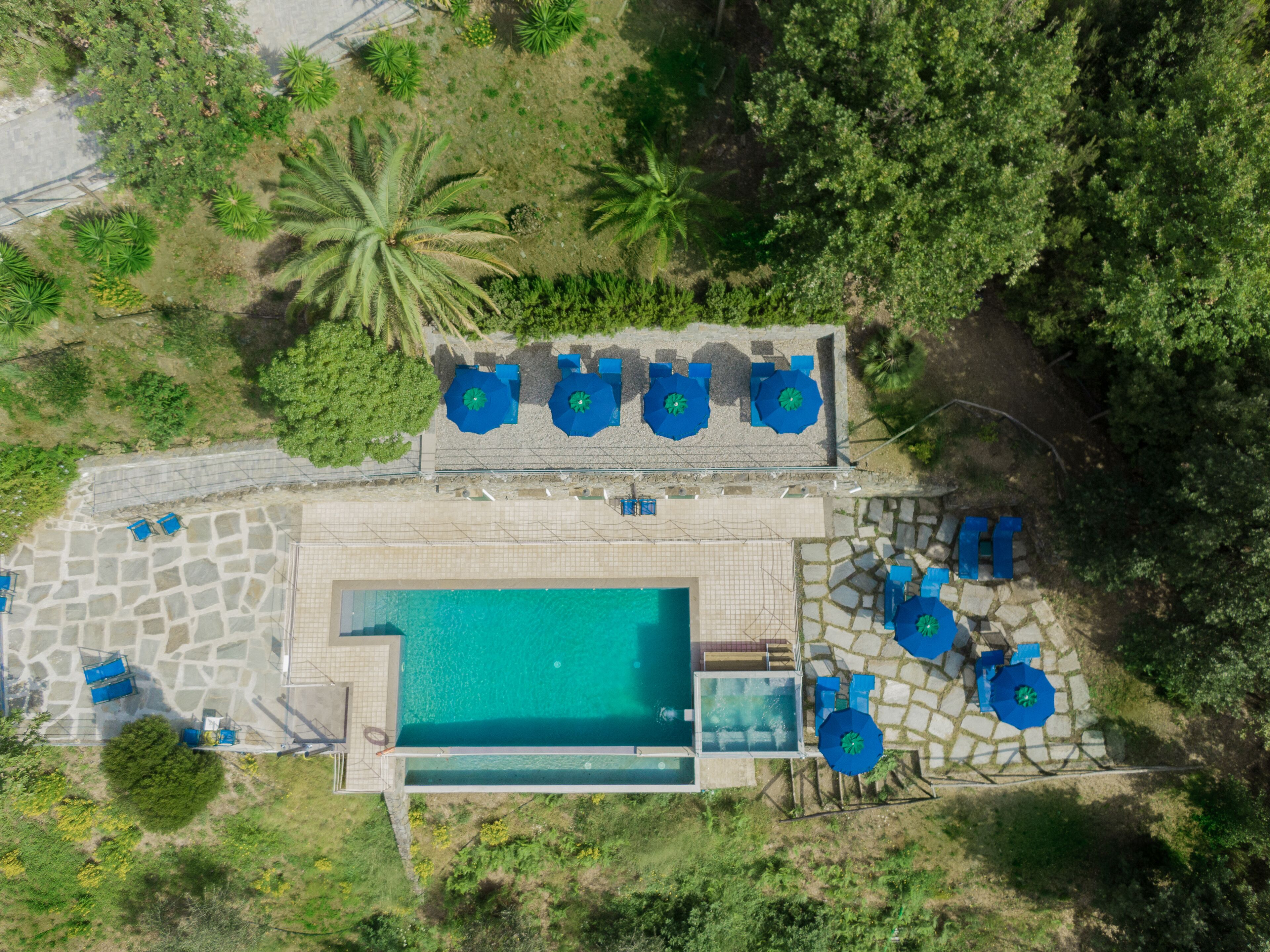 Seasonal outdoor pool, pool umbrellas, pool loungers