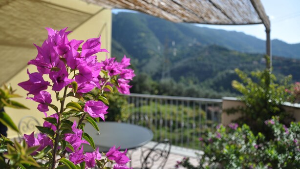 Ein Balkon mit Bergblick, einer Pergola und violetten Blumen.