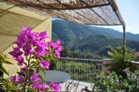 View from property. Hotel Al Terra di Mare