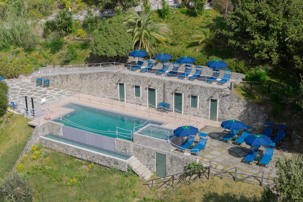 Seasonal outdoor pool, pool umbrellas, sun loungers