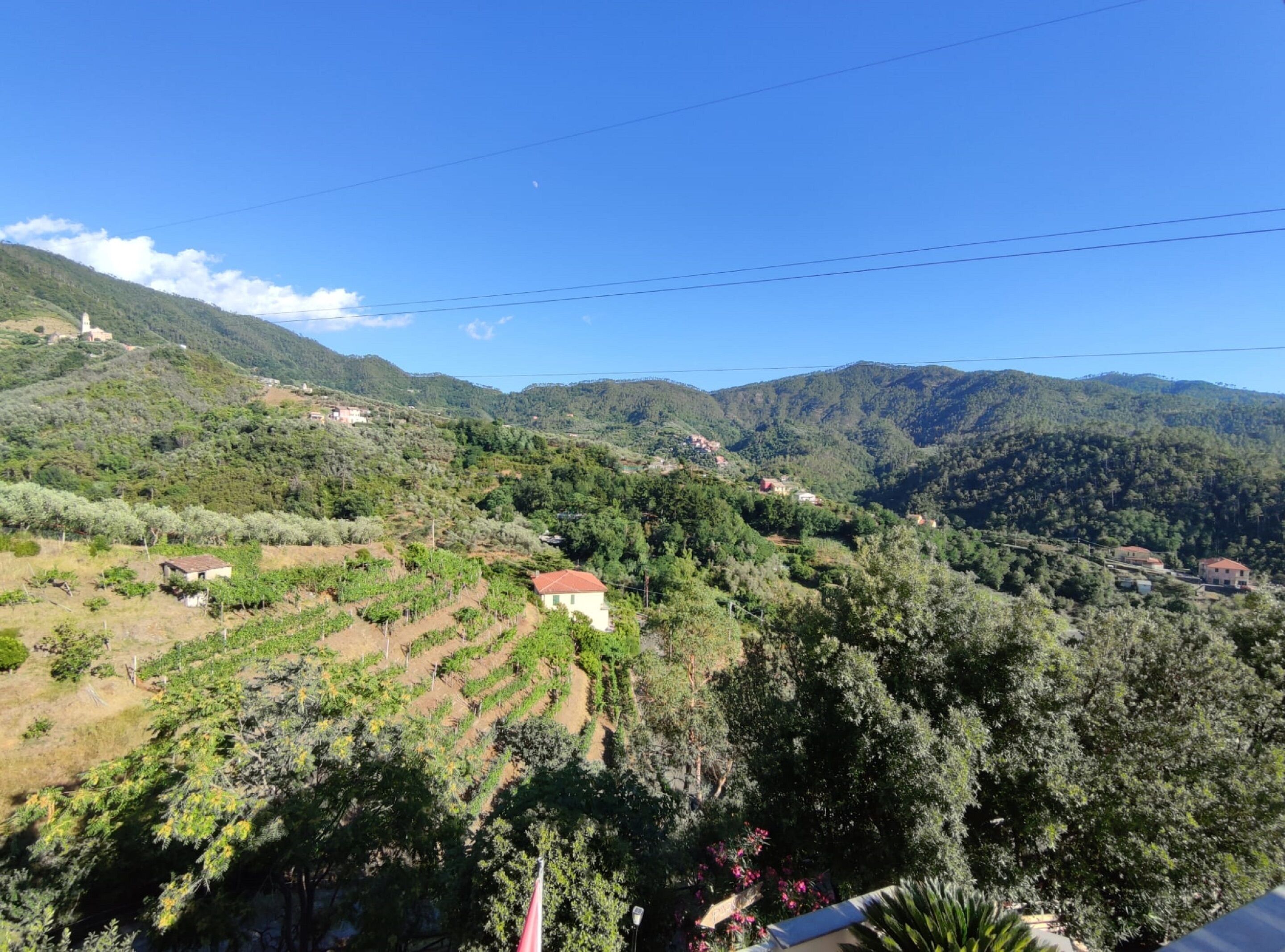 superior double room, hill view | view from room