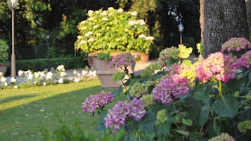 Jardin