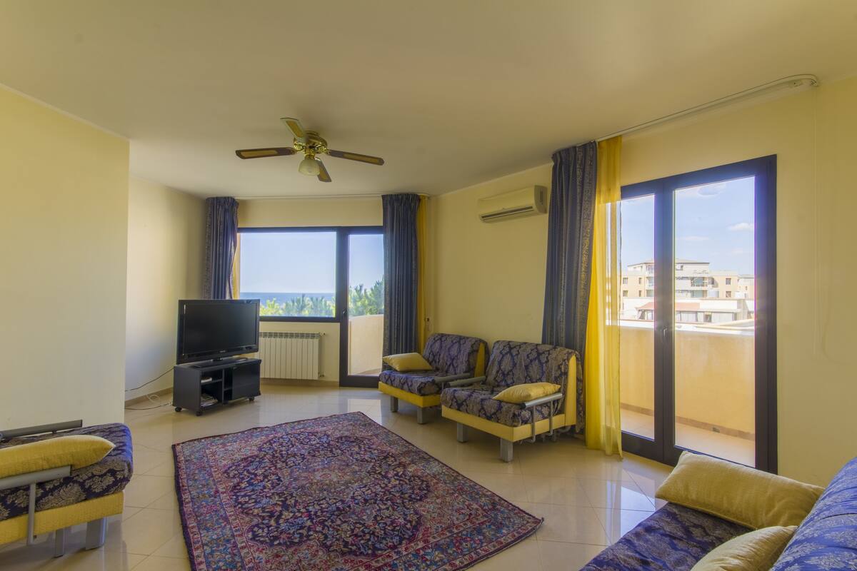 A living room with a flat-screen TV, two sofas, a patterned rug, and a ceiling fan.