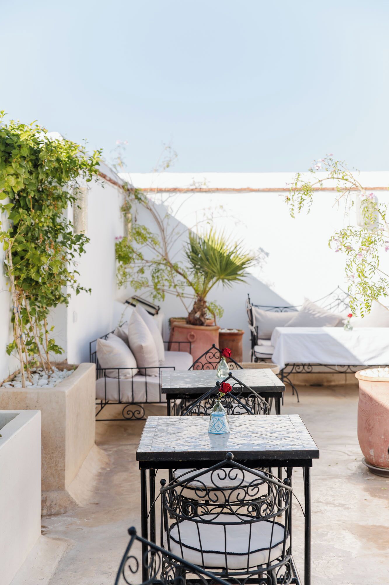 Foto - Riad Twilight