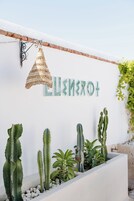 Terraza en la azotea