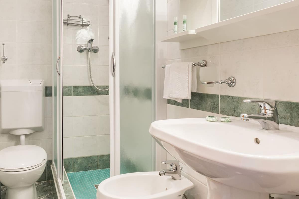 shower, free toiletries, hair dryer, slippers